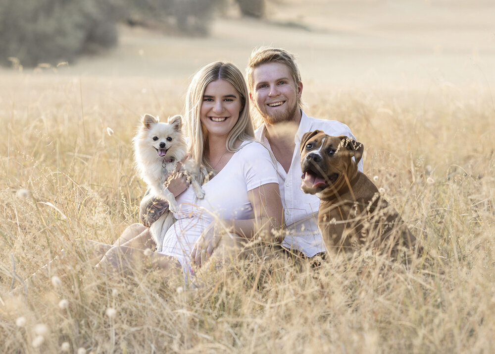 PETS_FAMILYINAFIELDWITHPUPPYDOG