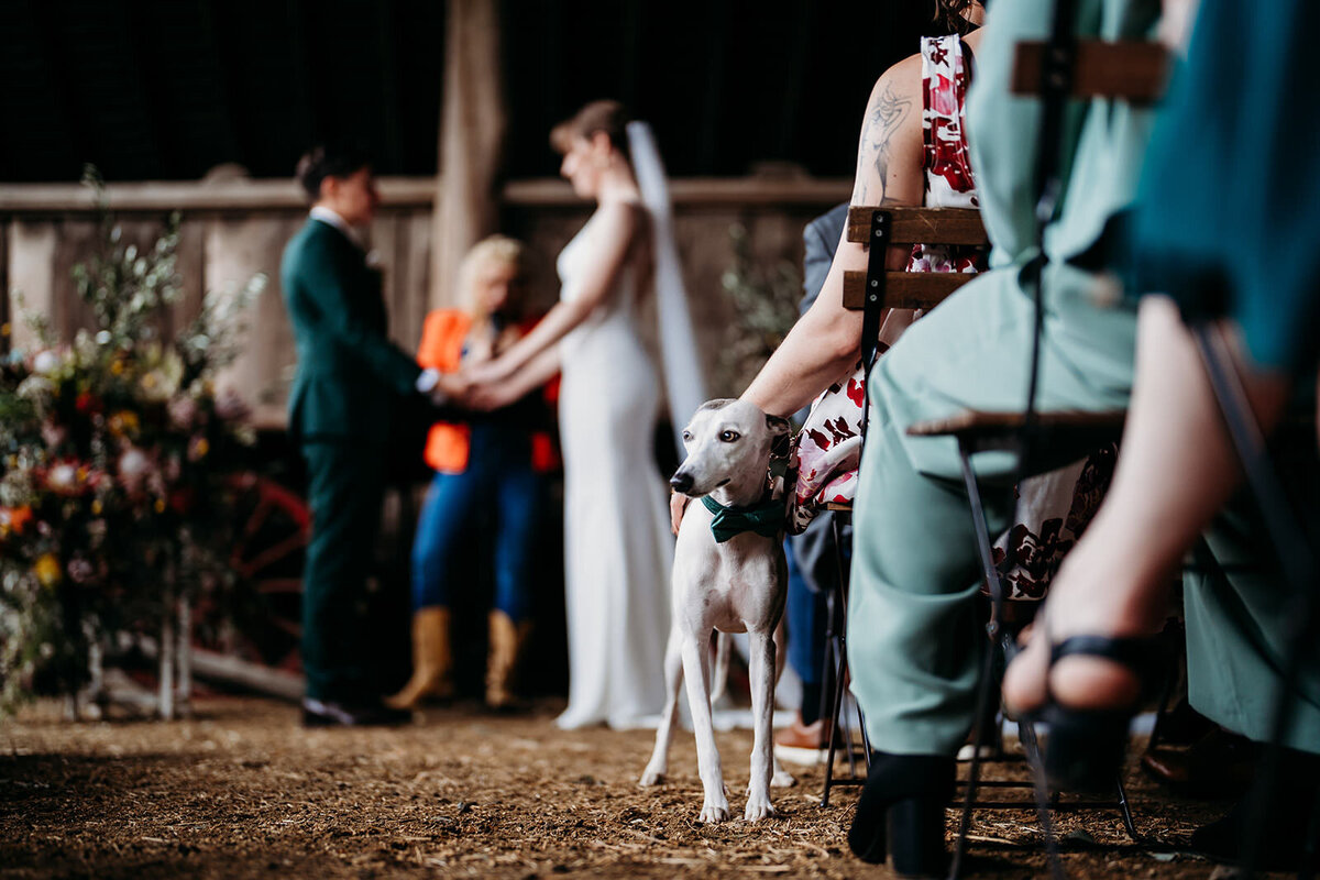 Margan_Photography_Tocal_Homestead-92
