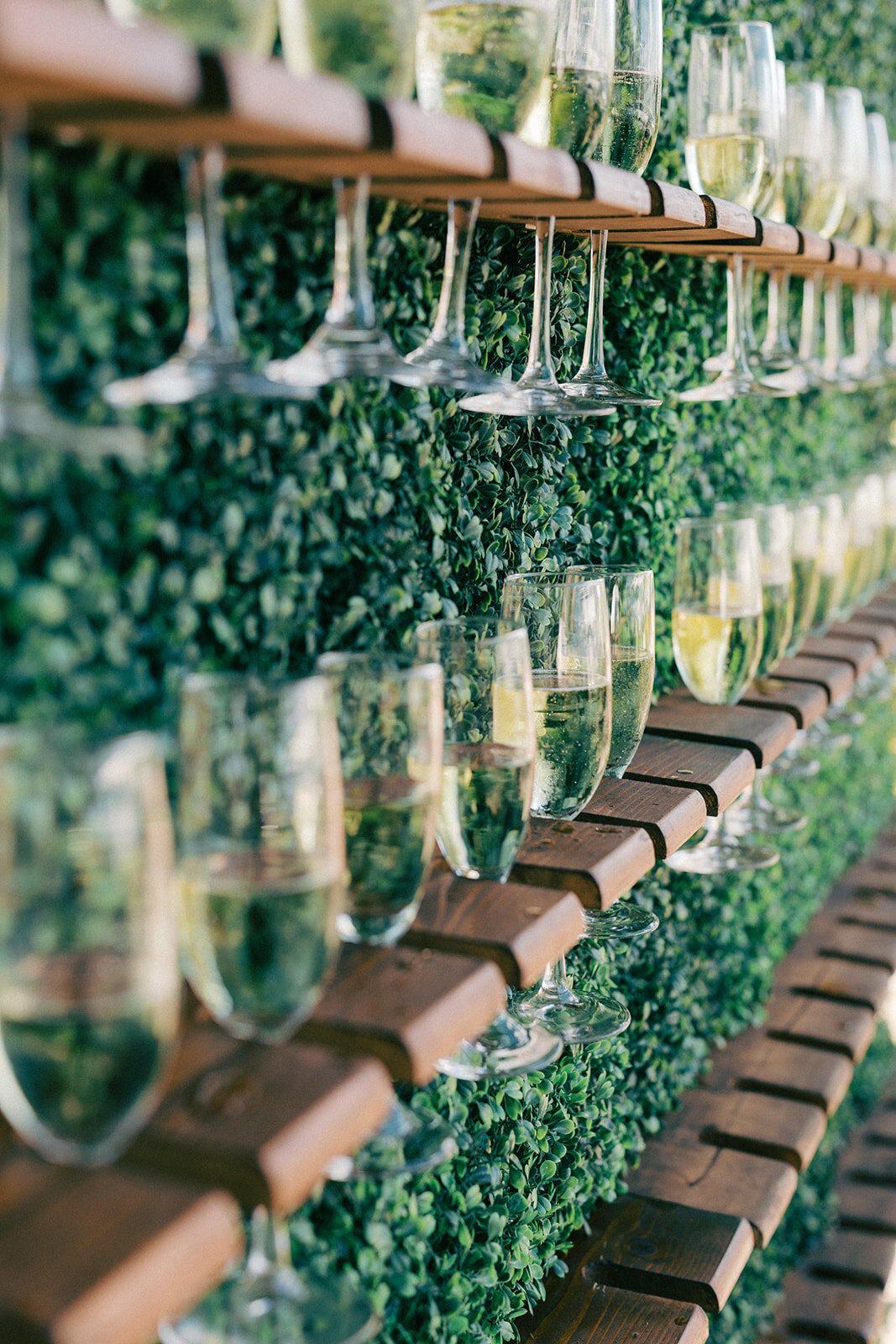 McLeod House wedding