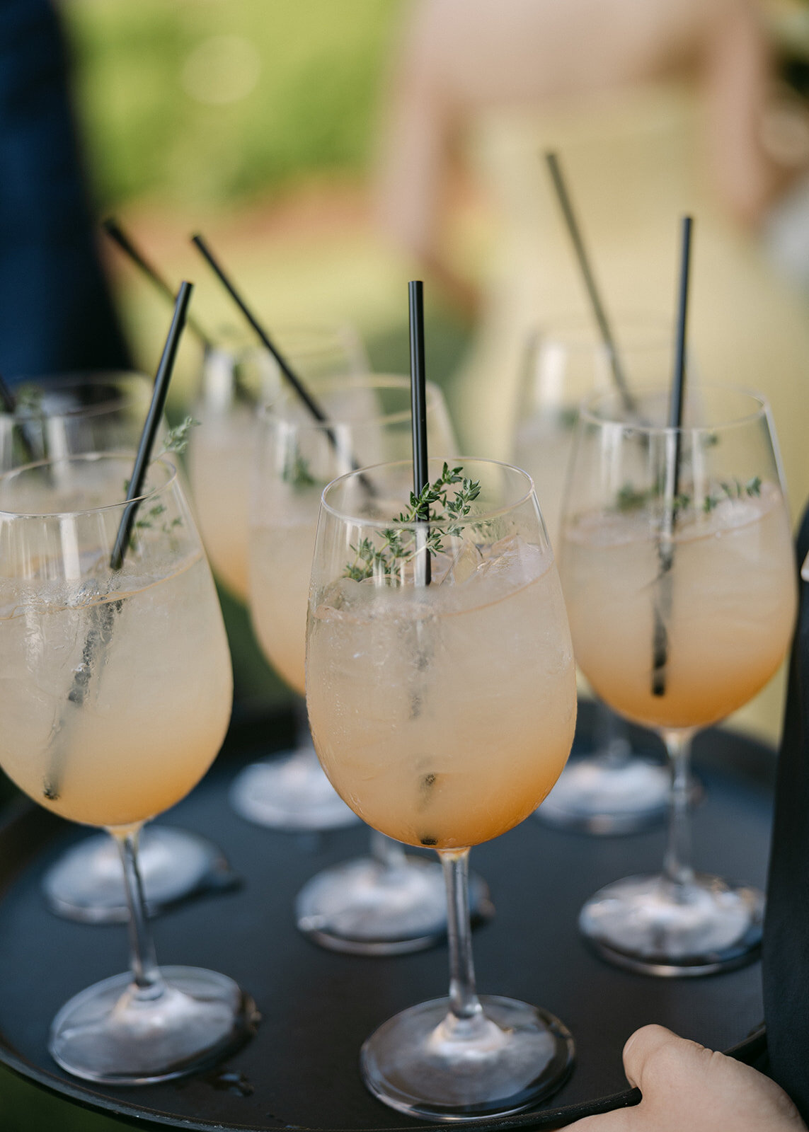 Verve-Event-Co-Juliana-Cole-Photography-Inns-of-Aurora-Destination-Wedding-Planner-East-Coast-Wedding-Planner-Cocktail-Hour (6)