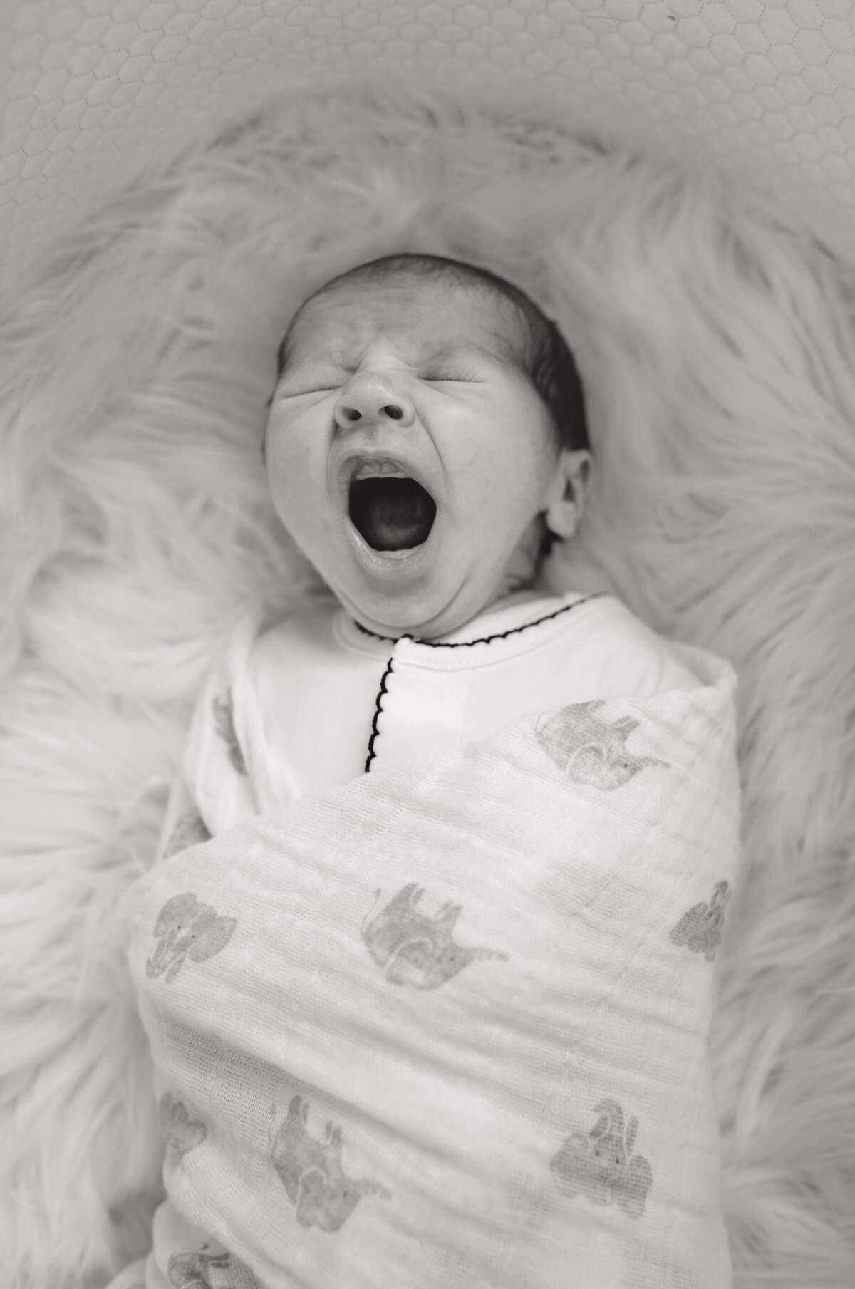 Natural newborn portrait of baby yawning
