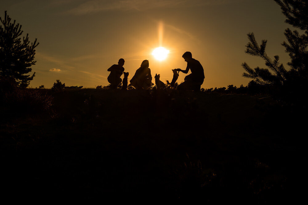 gezinsfoto zonsondergang heide silhouet
