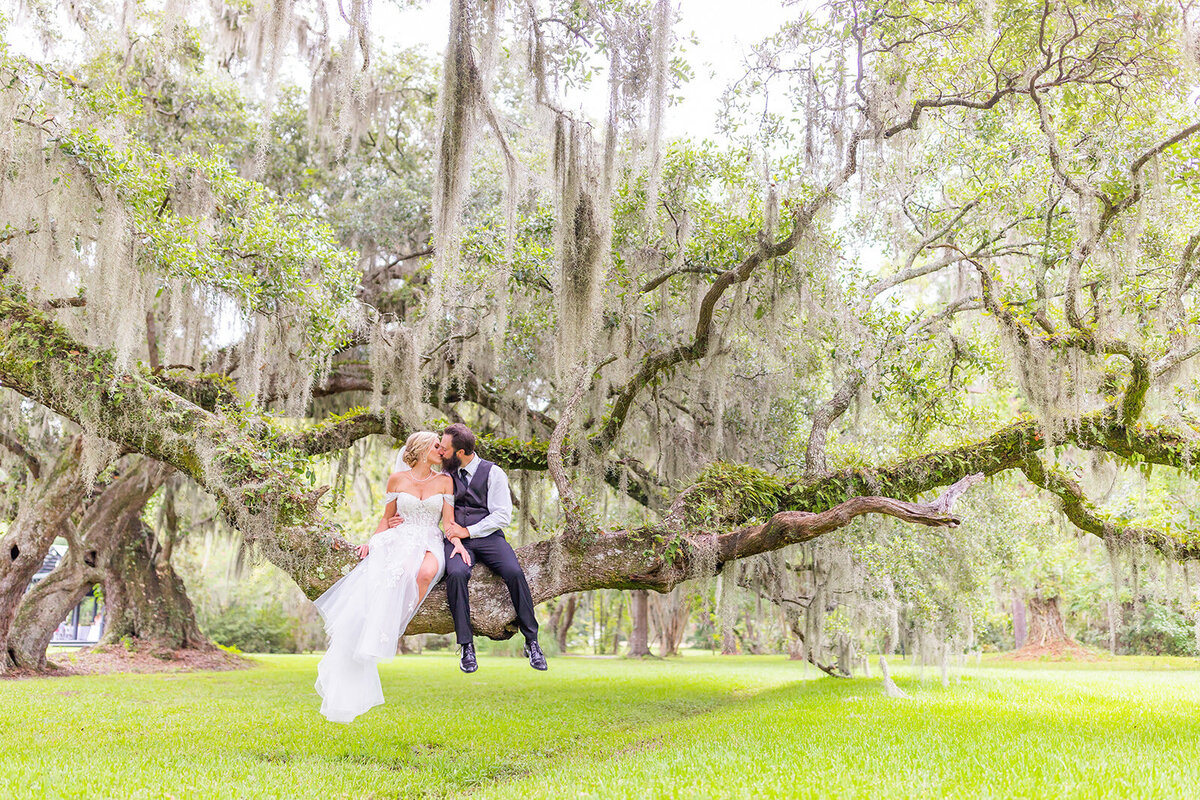 Couple shares kiss in South Carolina willow tree by Tiffany McFalls.