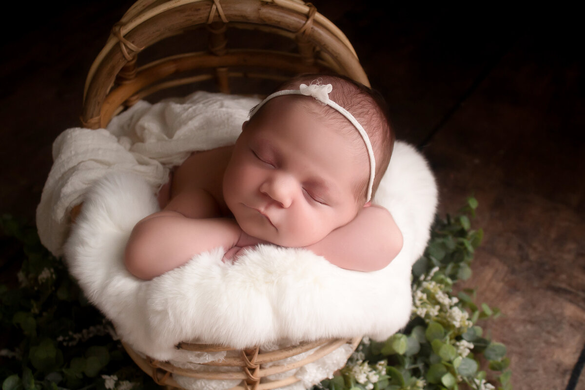 baby girl posing in a bamboo basinett during her newborn session