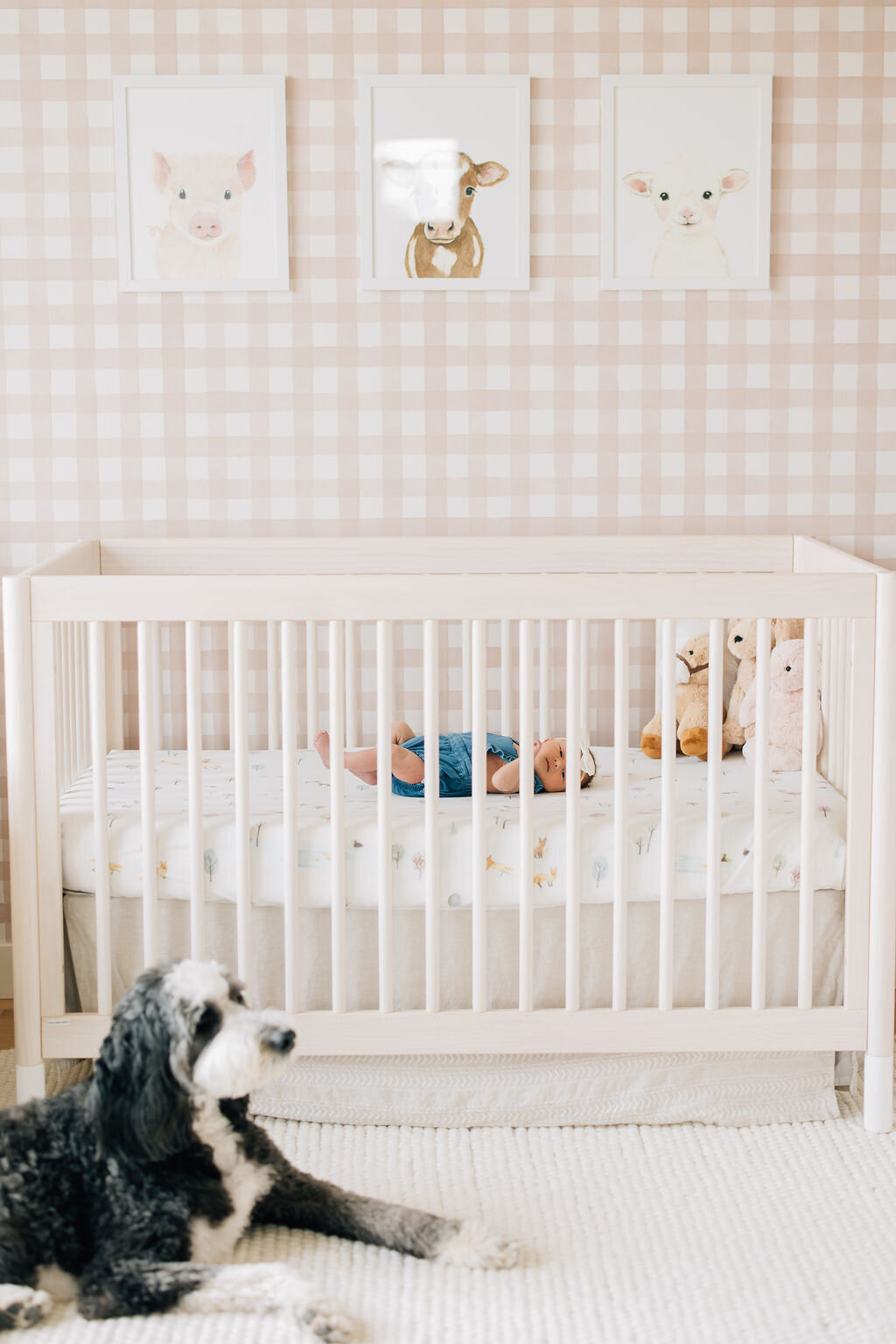 Annie_DecoraToppPhotography2024-7440