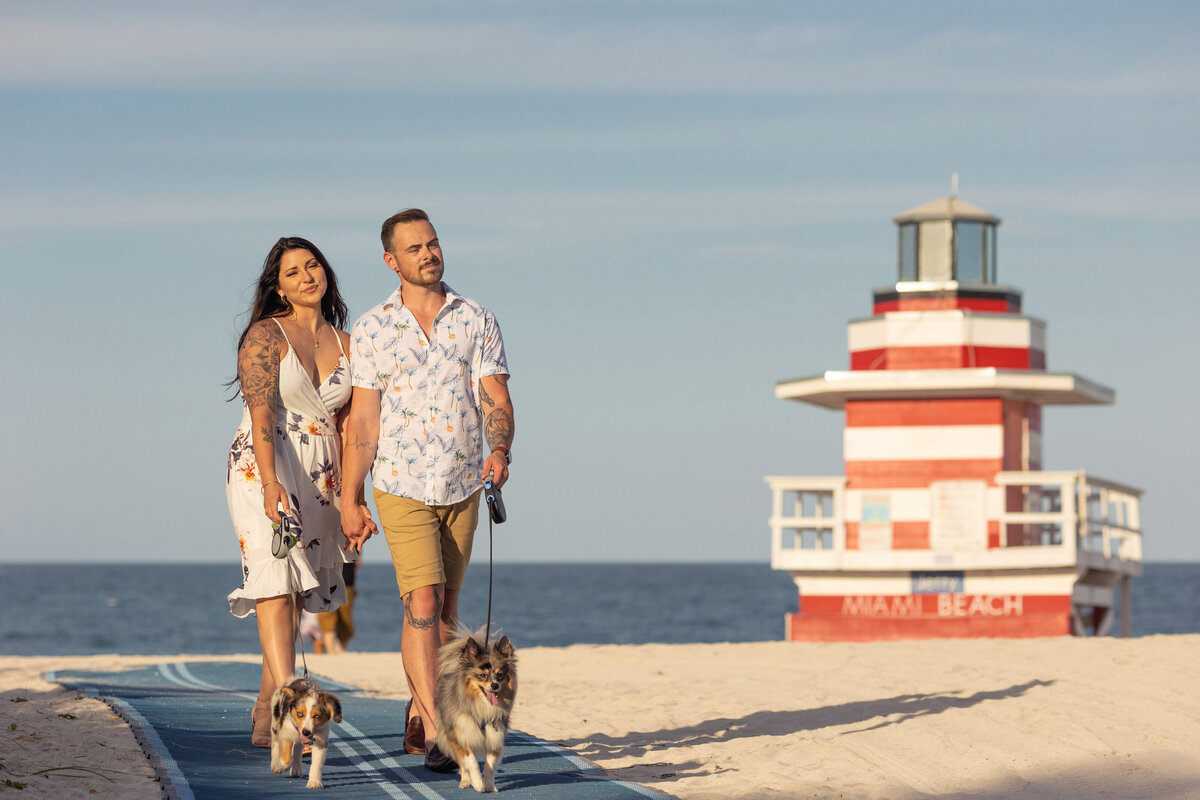 Sunset Miami Beach engagement session with a couple walking their dogs near a lifeguard tower