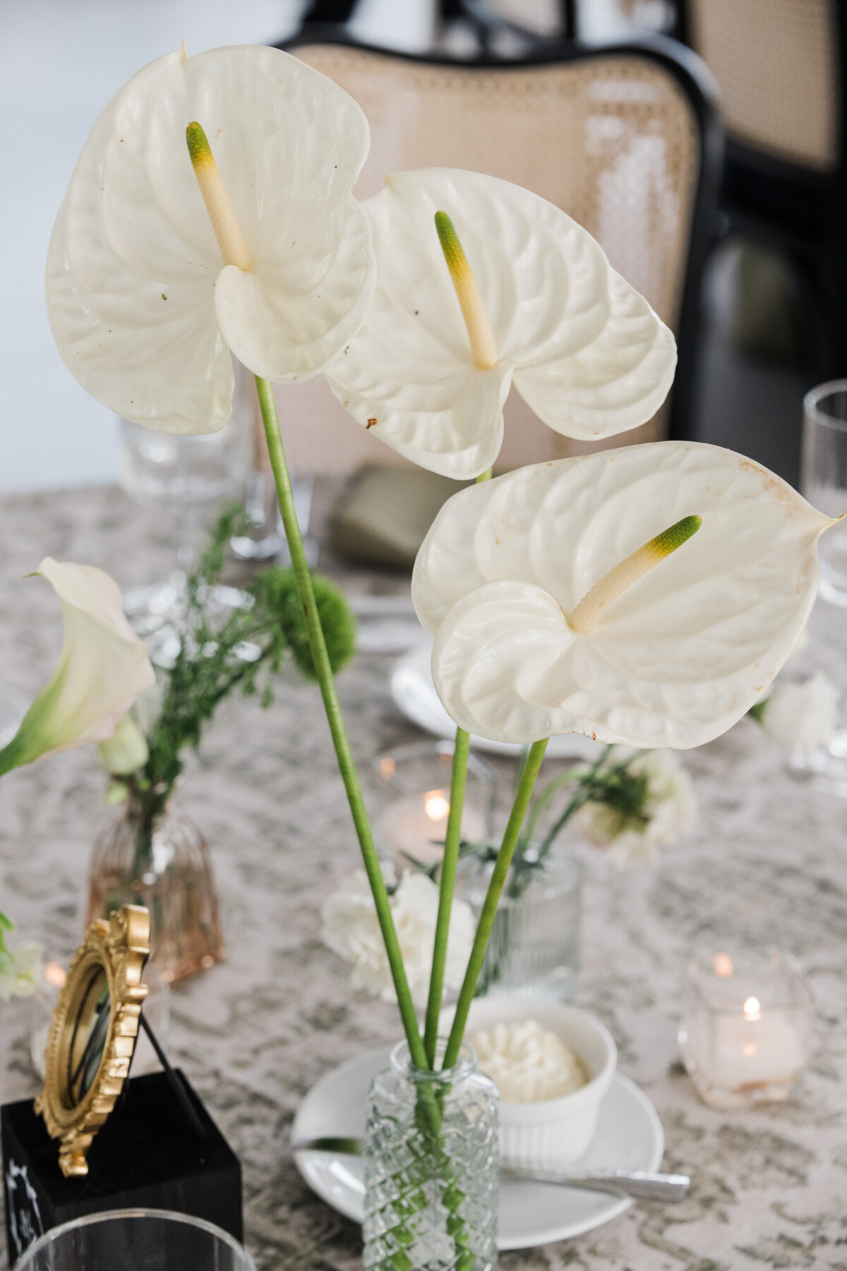 Yurts Smithey Color-0572