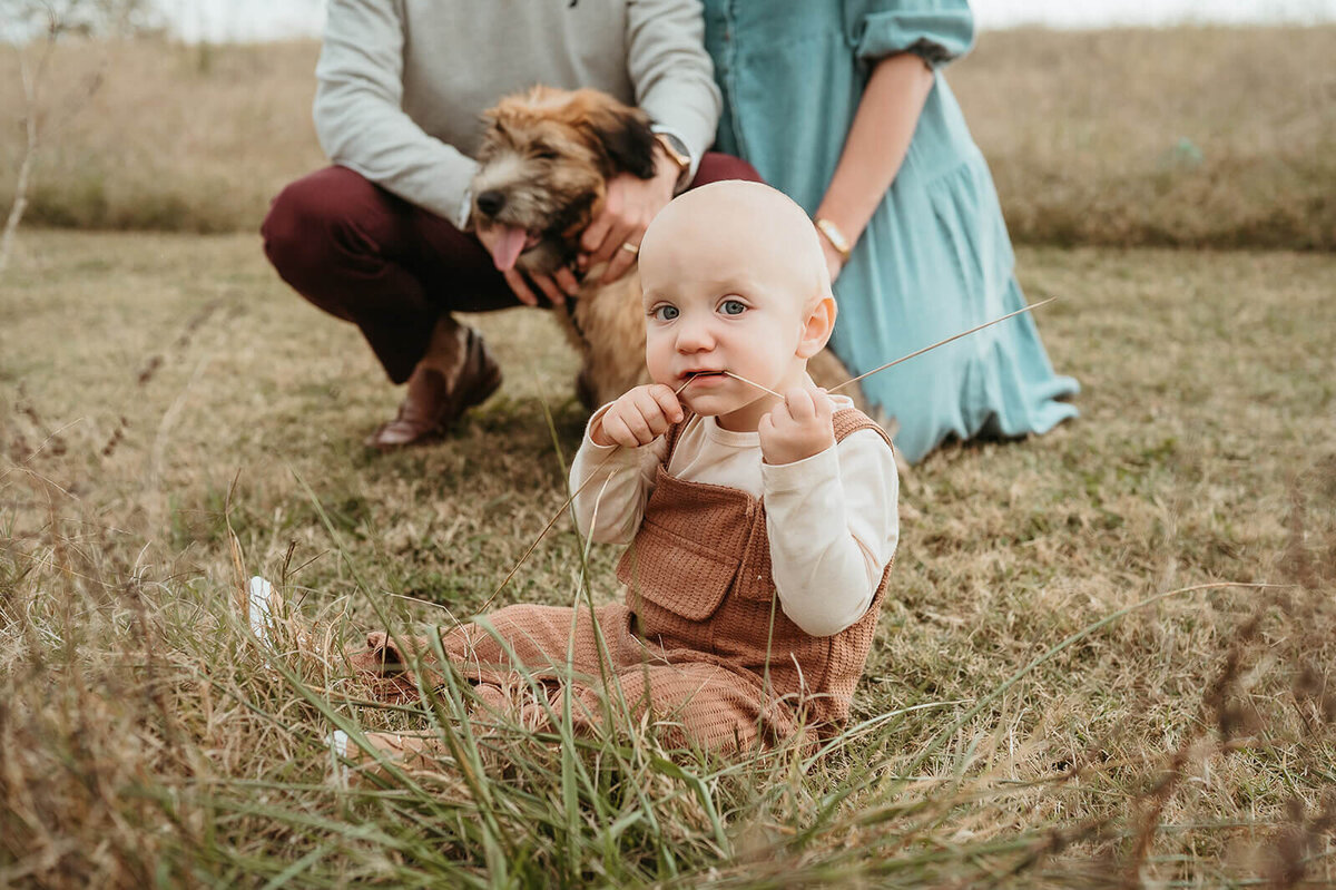 fall-family-photo-charlotte-nc-toddler-dog
