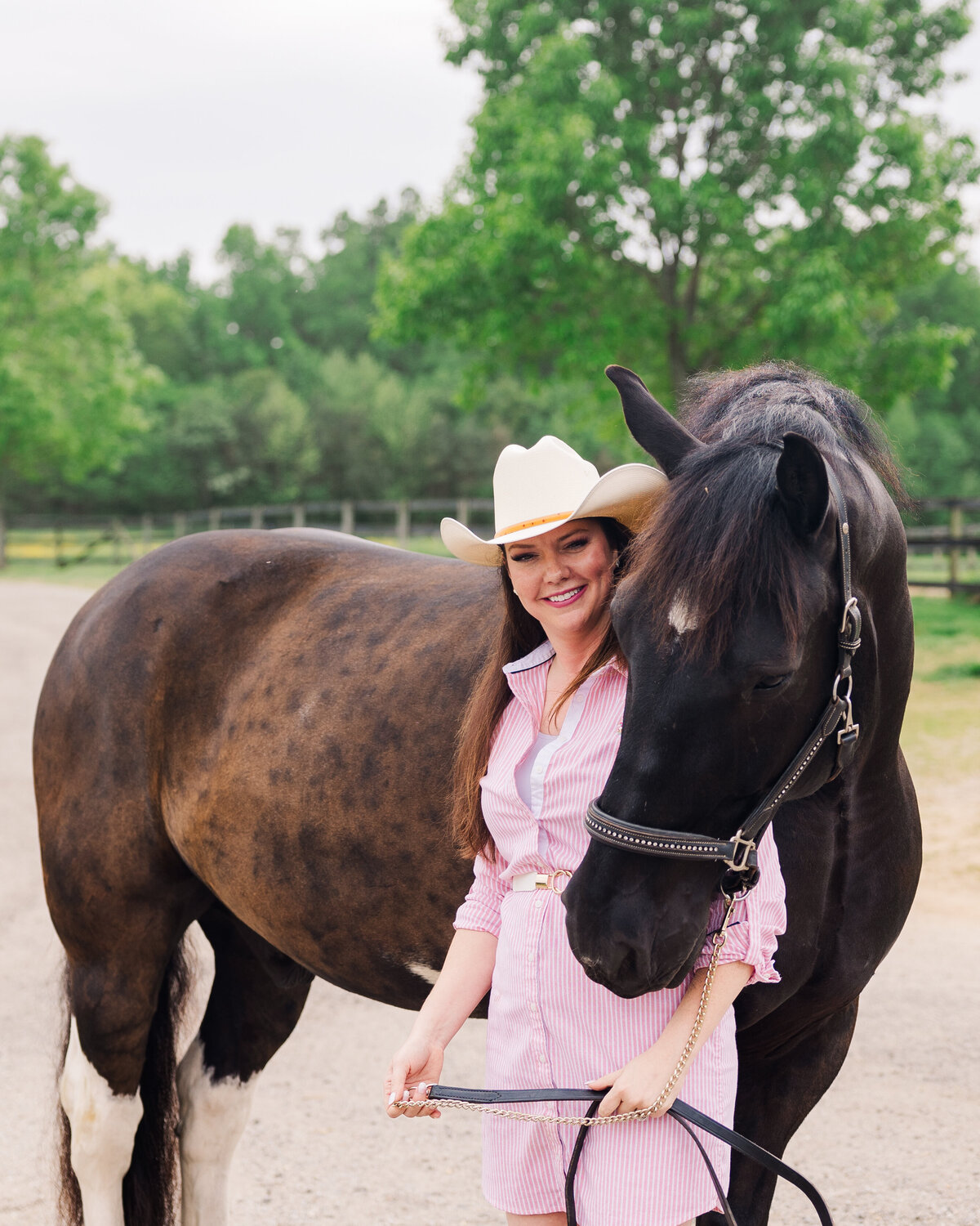 Equine Photographer in Richmond, Virginia