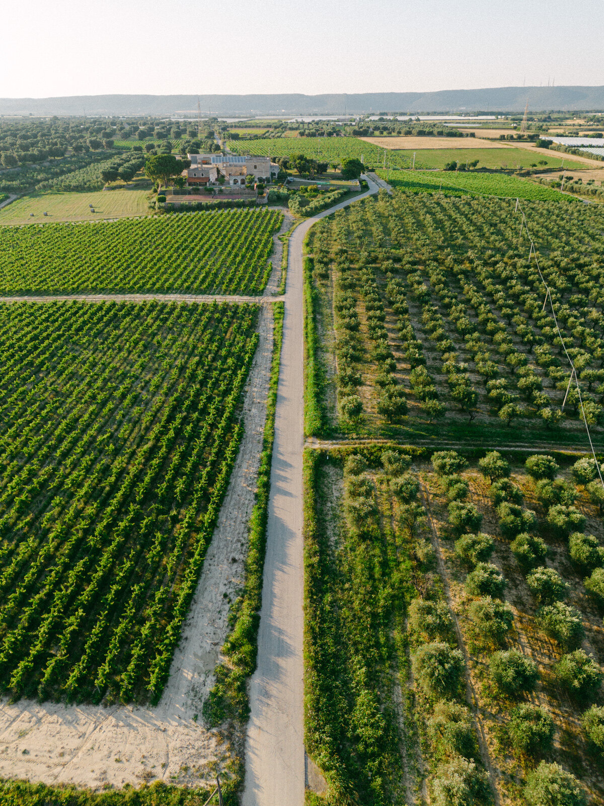 Masseria Angiulli Piccolo Wedding, Puglia304