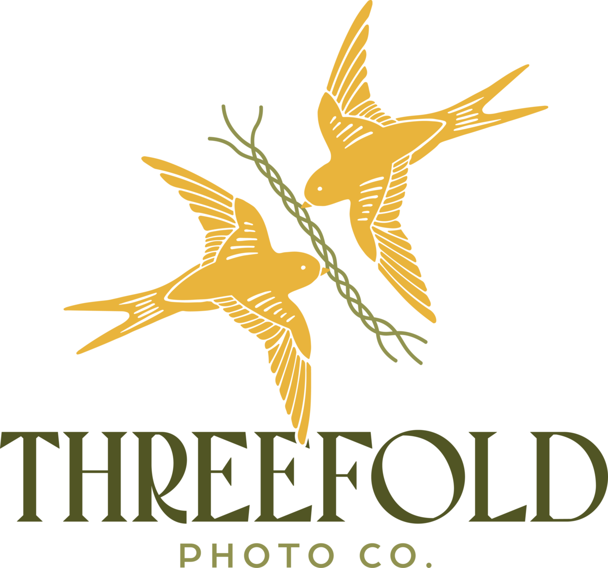 ThreefoldPhotoCo_MainLogo