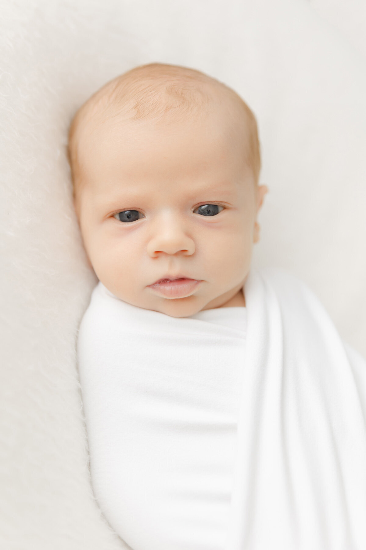 Raleigh-Newborn-Photography 015