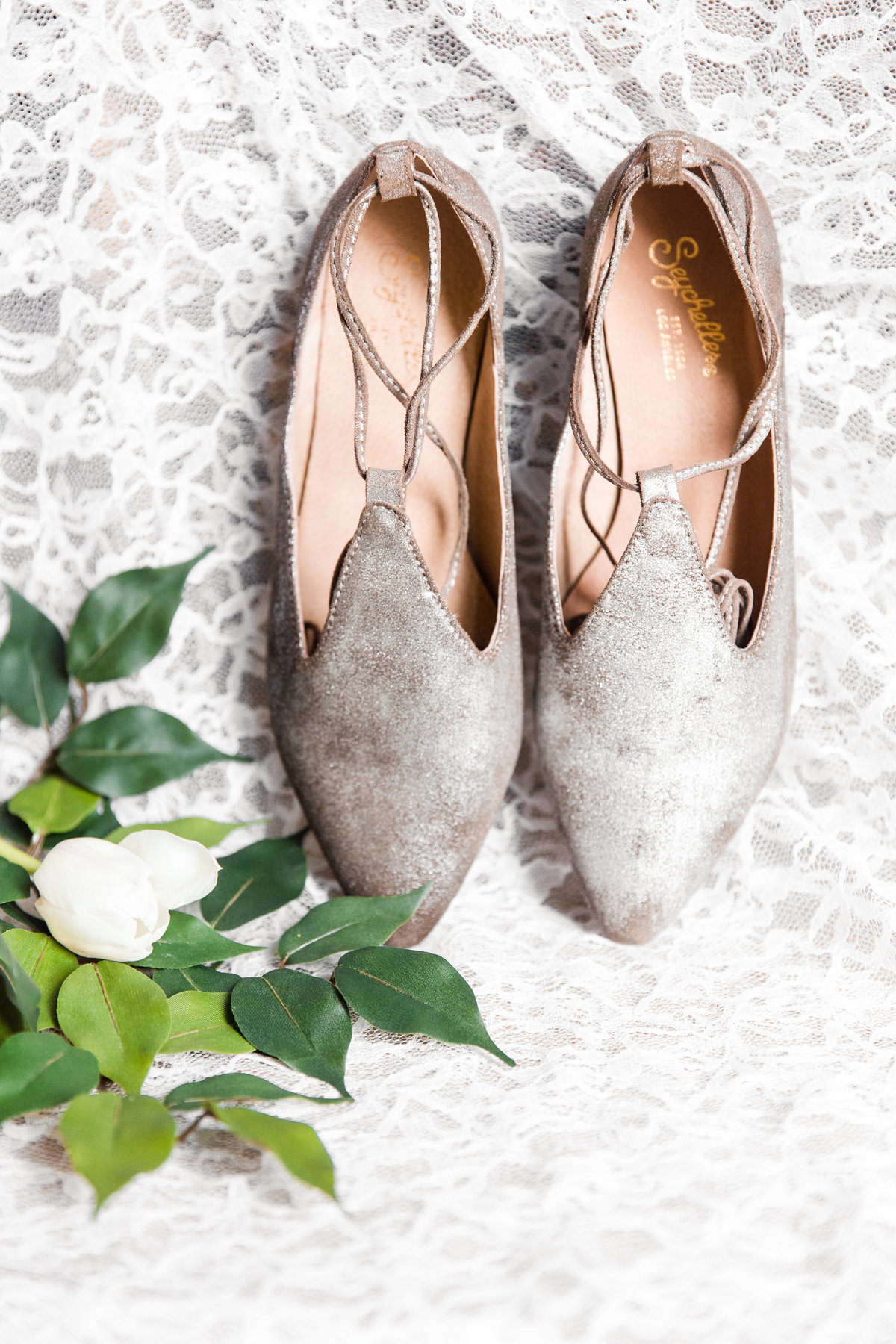 Jared & Elizabeth Blog (0003