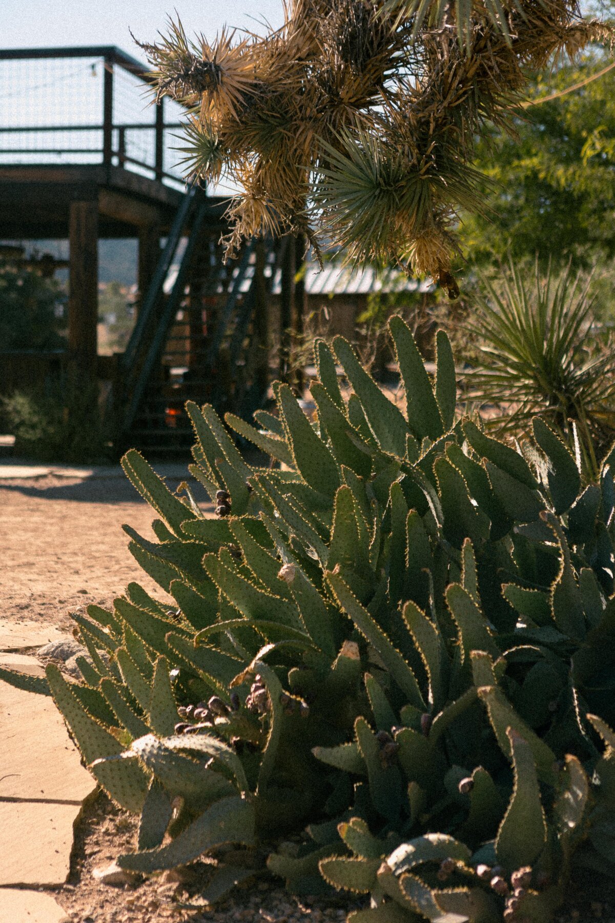 California Elopement