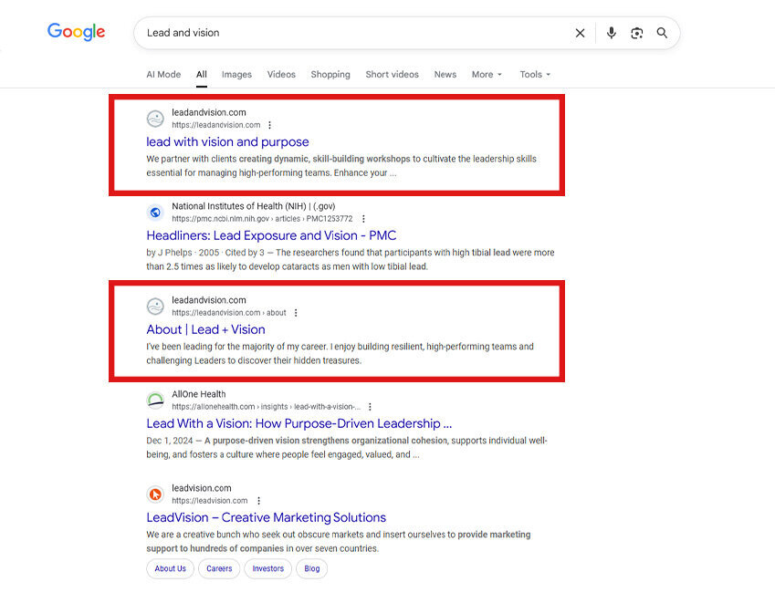 Lead and Vision SEO