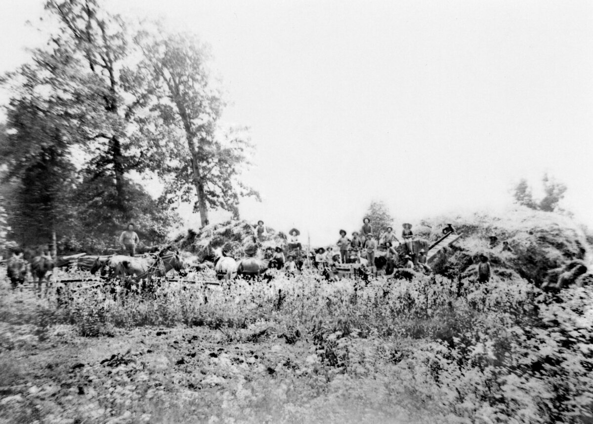 6. Wheat Thrashing at Clay Harlin's Farm, Wirt in big hat cente