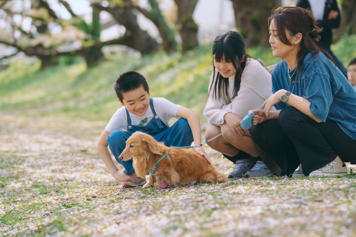 aichi-toyohashi-family-photographer-07
