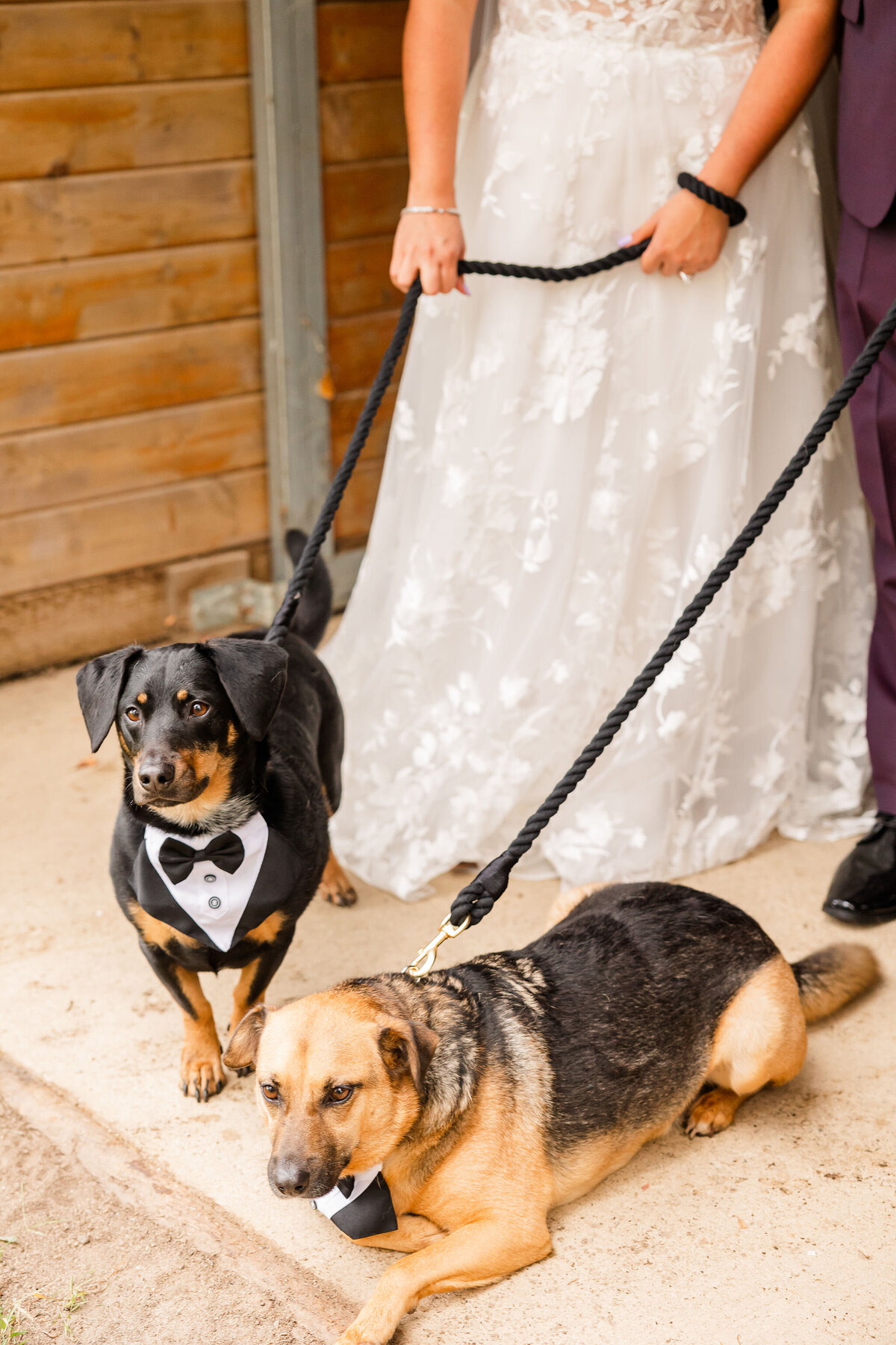 HGP-AllisonandMike-BrideandGroom(5of92)