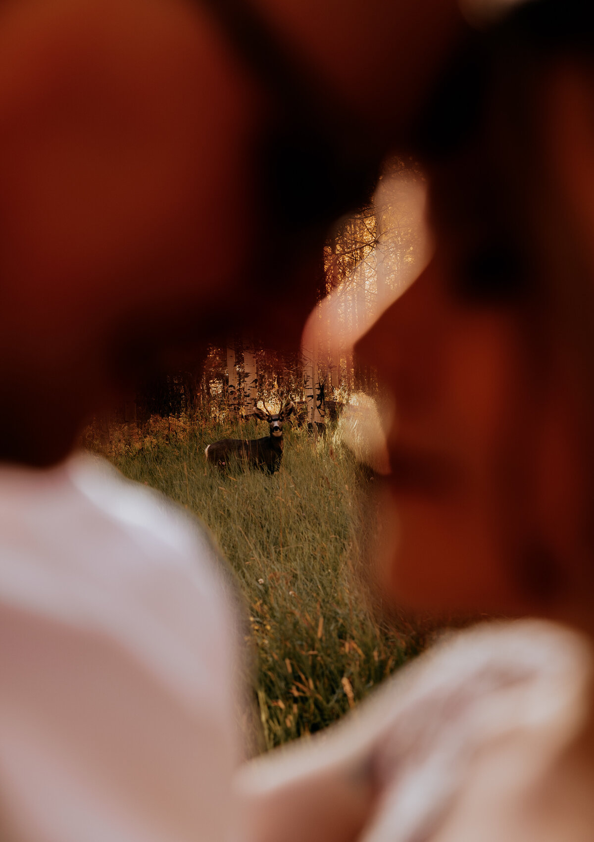 untitled-9679