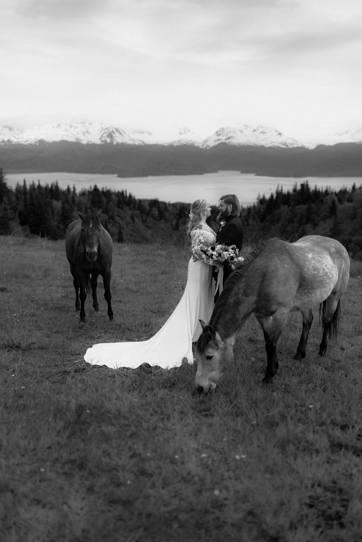 Events by Ayla8
