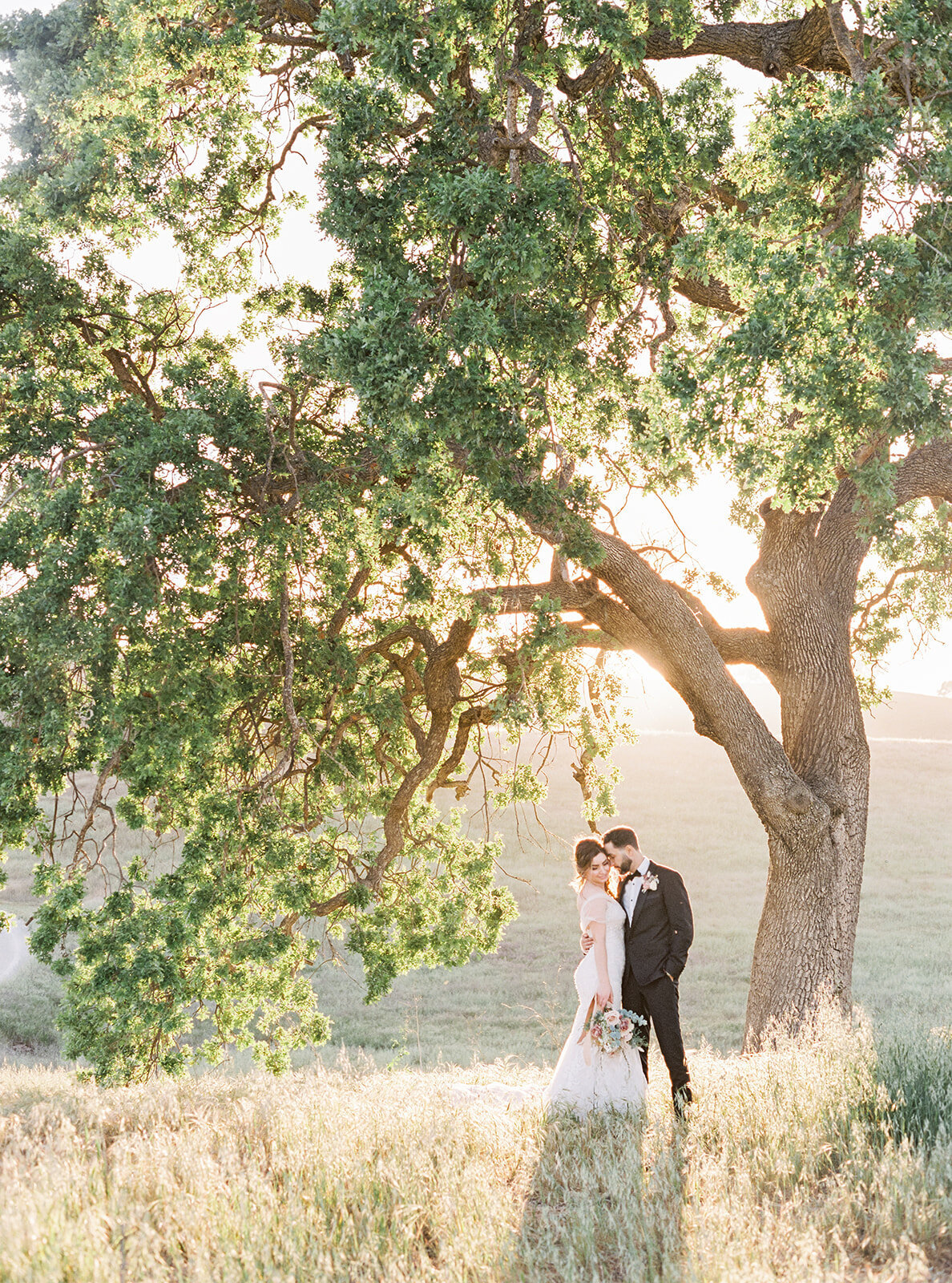 bride and groom under an old tree
