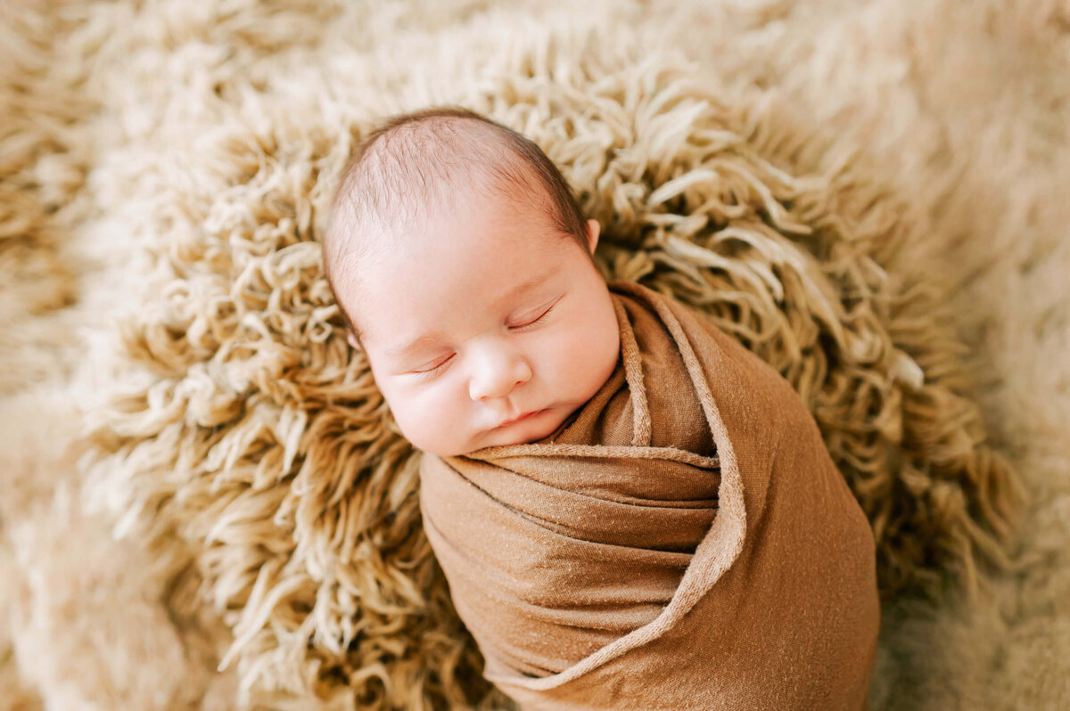 springfield-mo-newborn-photographer-164