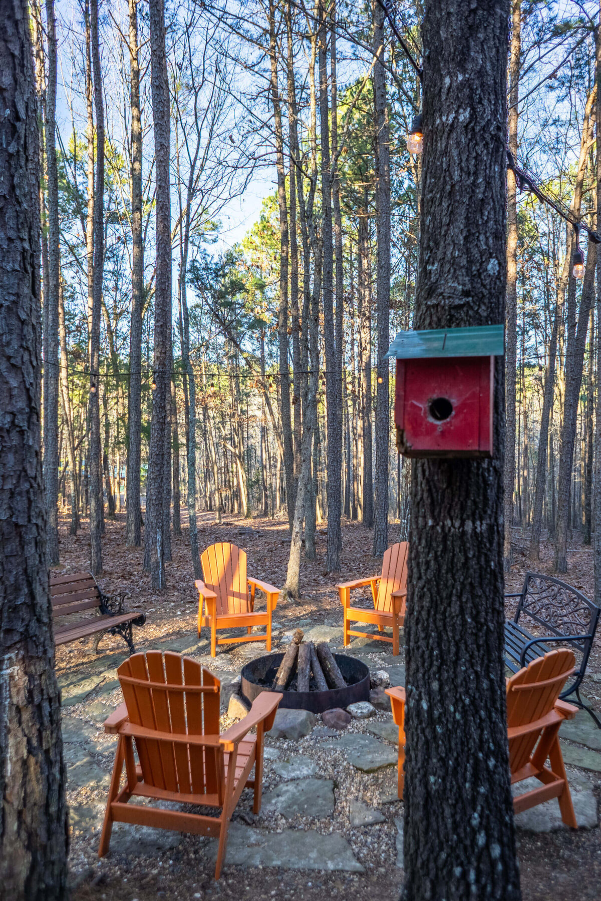 wolf-pen-gap-cabin-timber-wolf-25