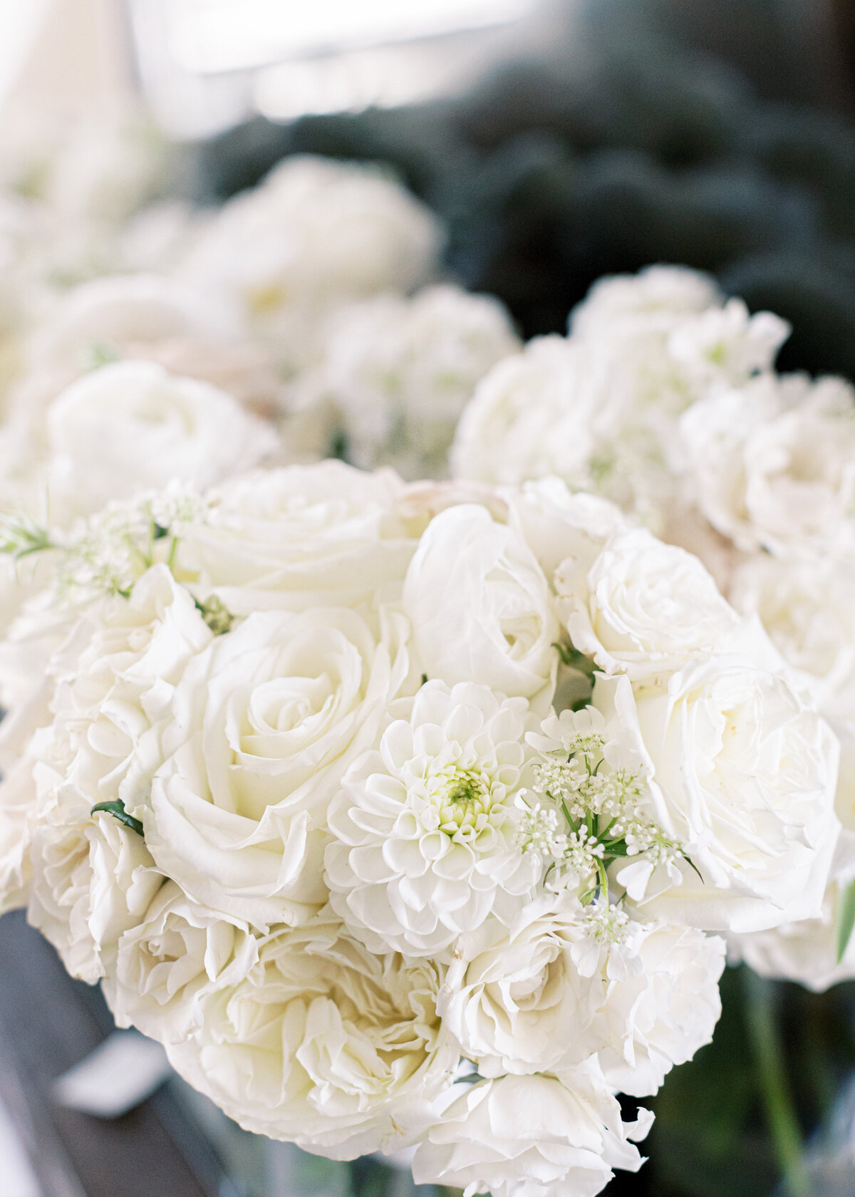 Adele-and-Hayden-Wedding-Emily-Nicole-Photo-67