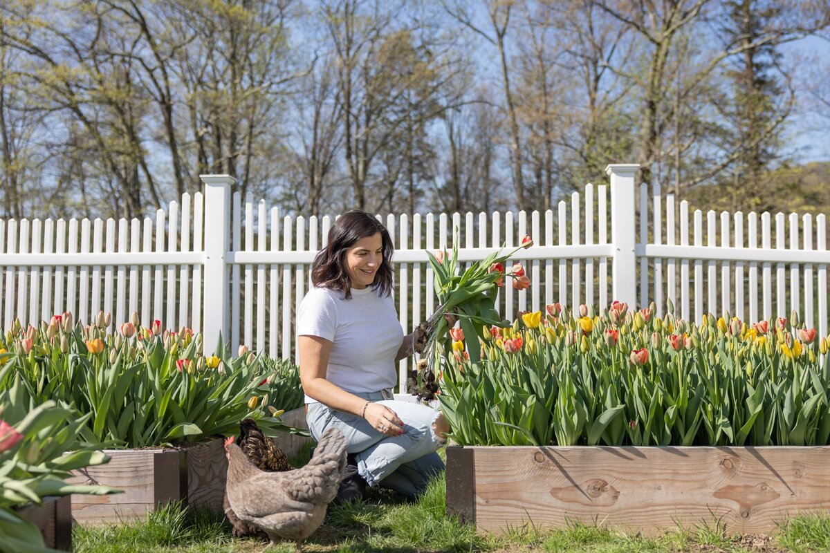 Blooms-Of-Lost-Acres-at-home-tulip-garden