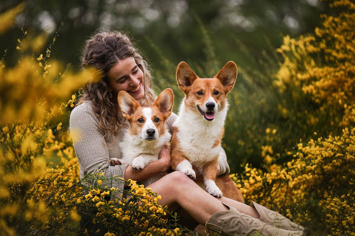 Hondenportret-Limburg-6