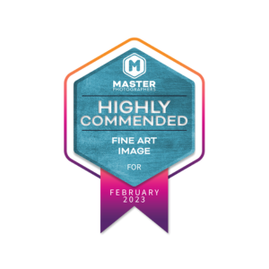 Highly Commended Award for Fine Art Portraiture 2023