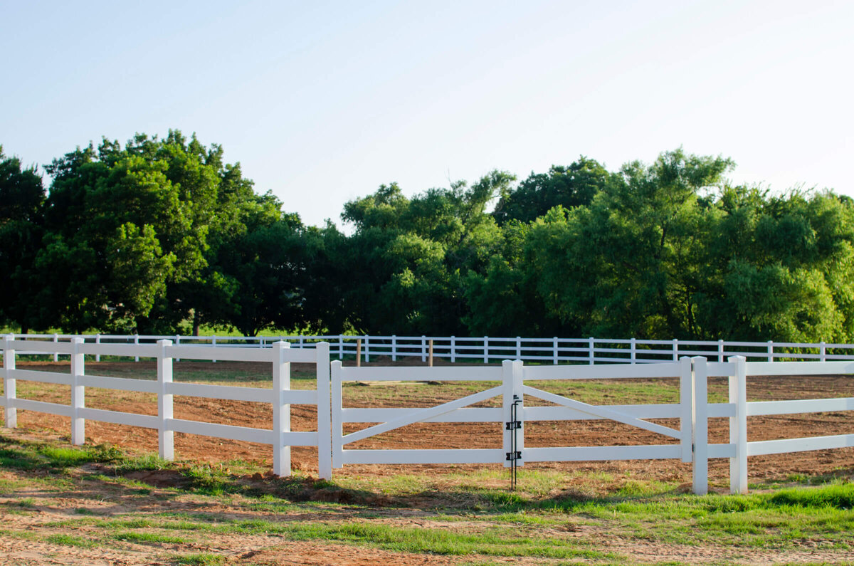 Pasture horse boarding in North Texas