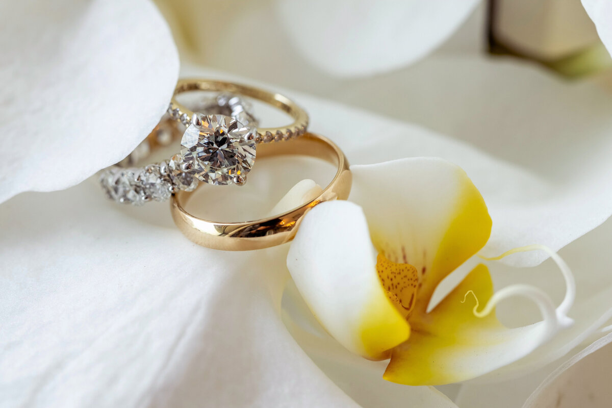 details_663_bob_and_dawndavisphotography