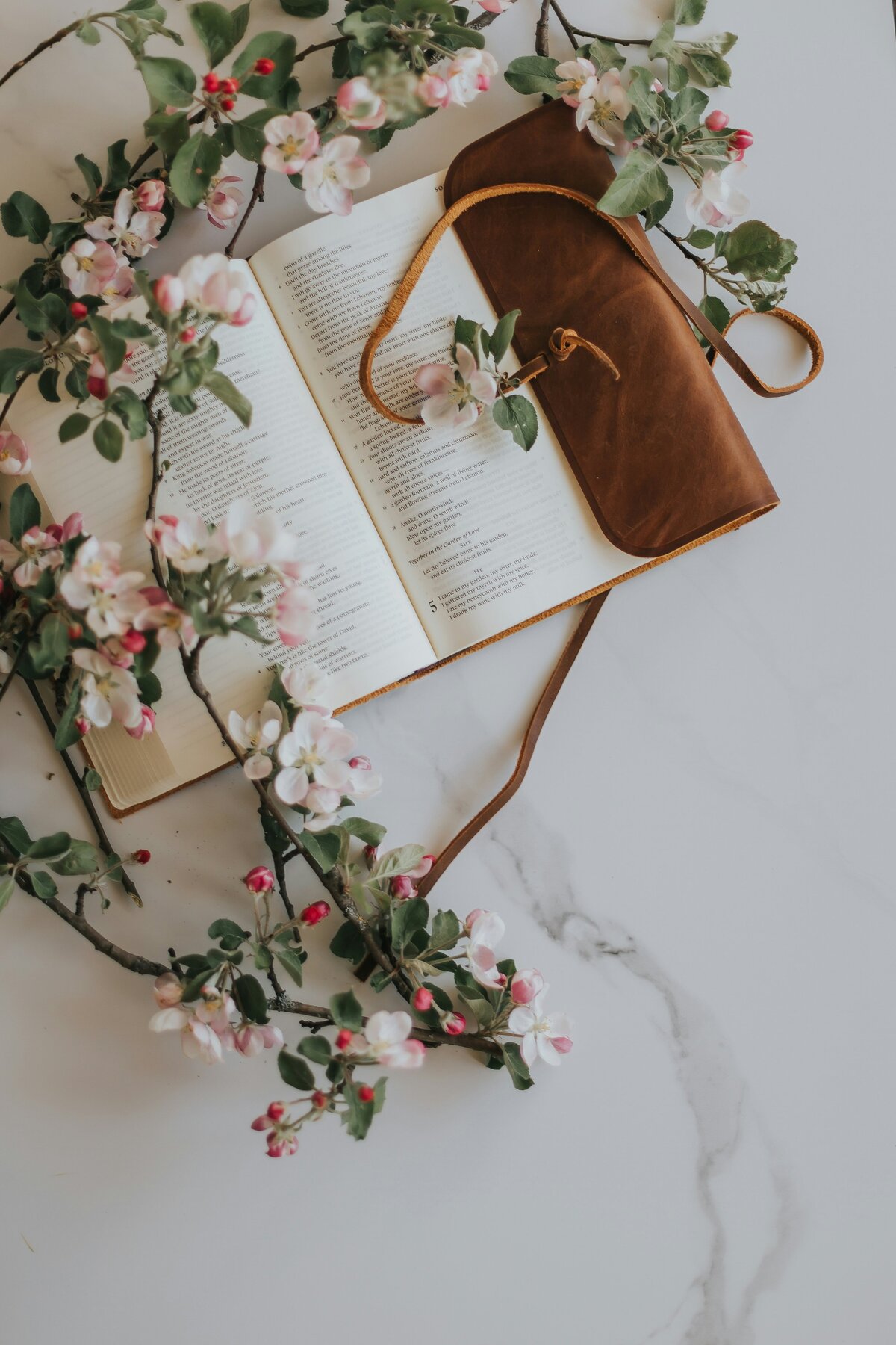 daiga-ellaby-Xyi-kxYWEhc-unsplash