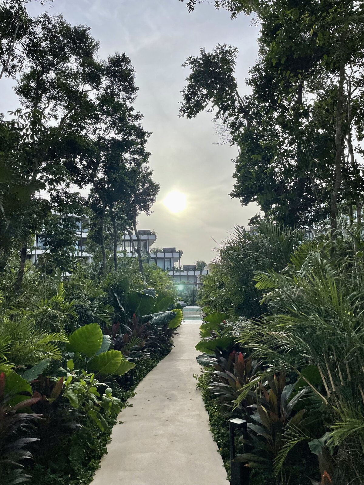 Palms Real Estate Group - Mistiq Temple Tulum8