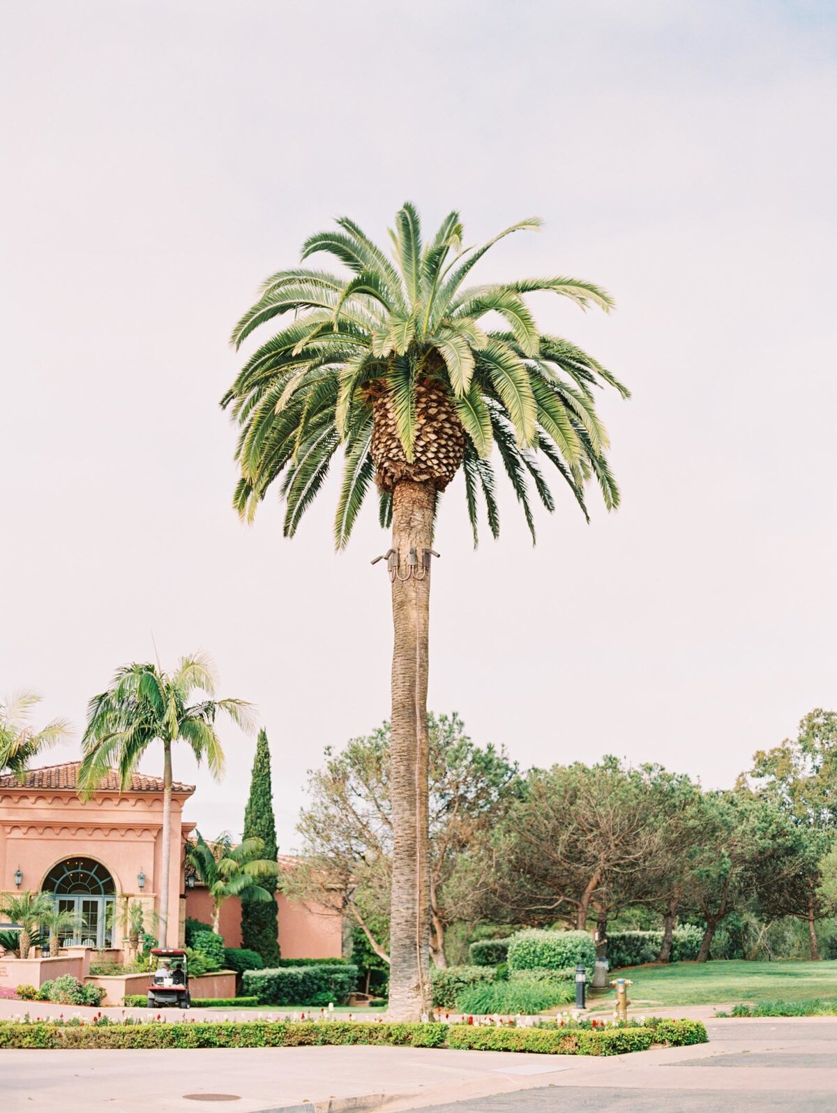 fairmont-grand-del-mar-wedding-4