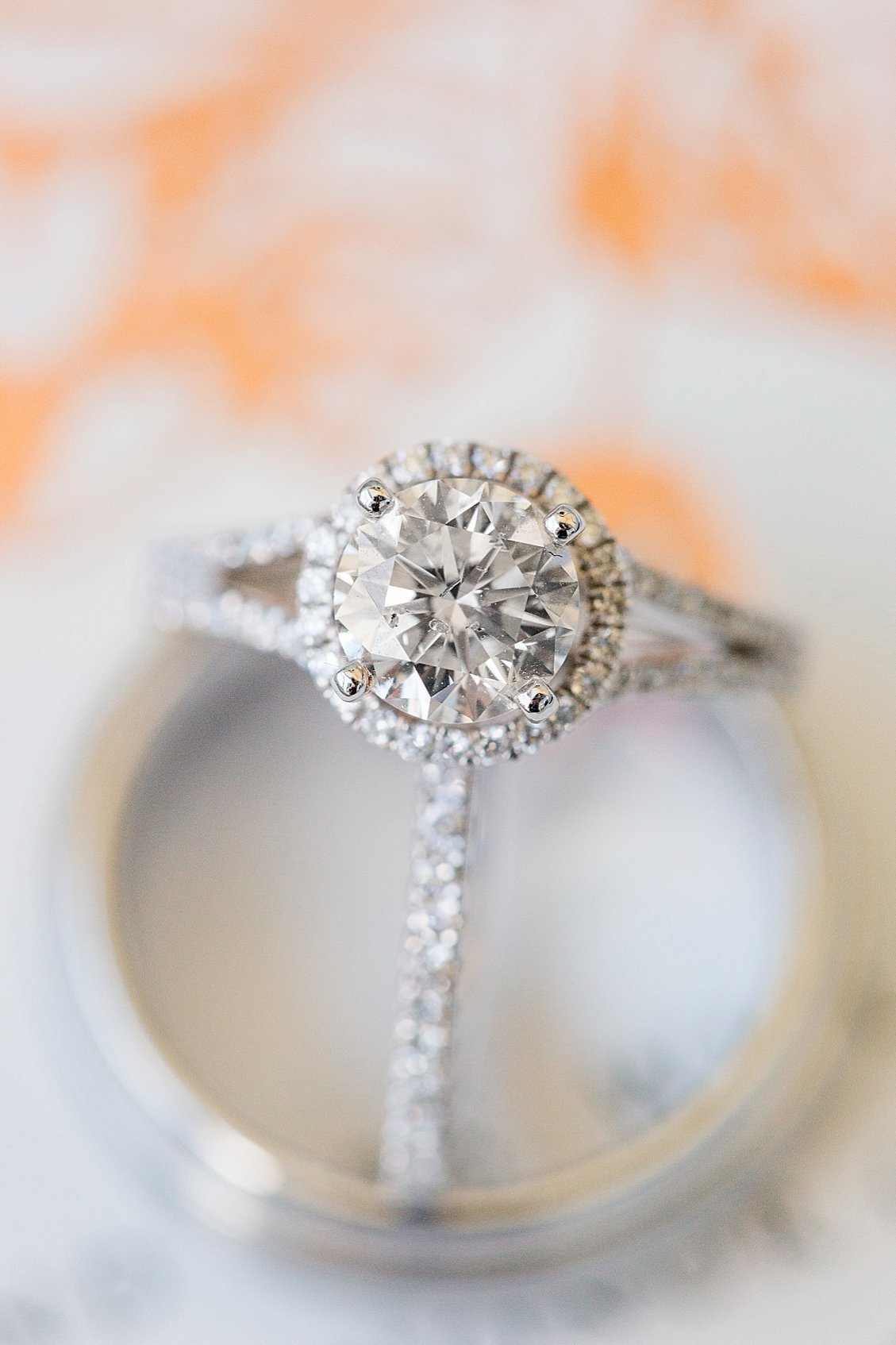 frank-2018-03-23_0112