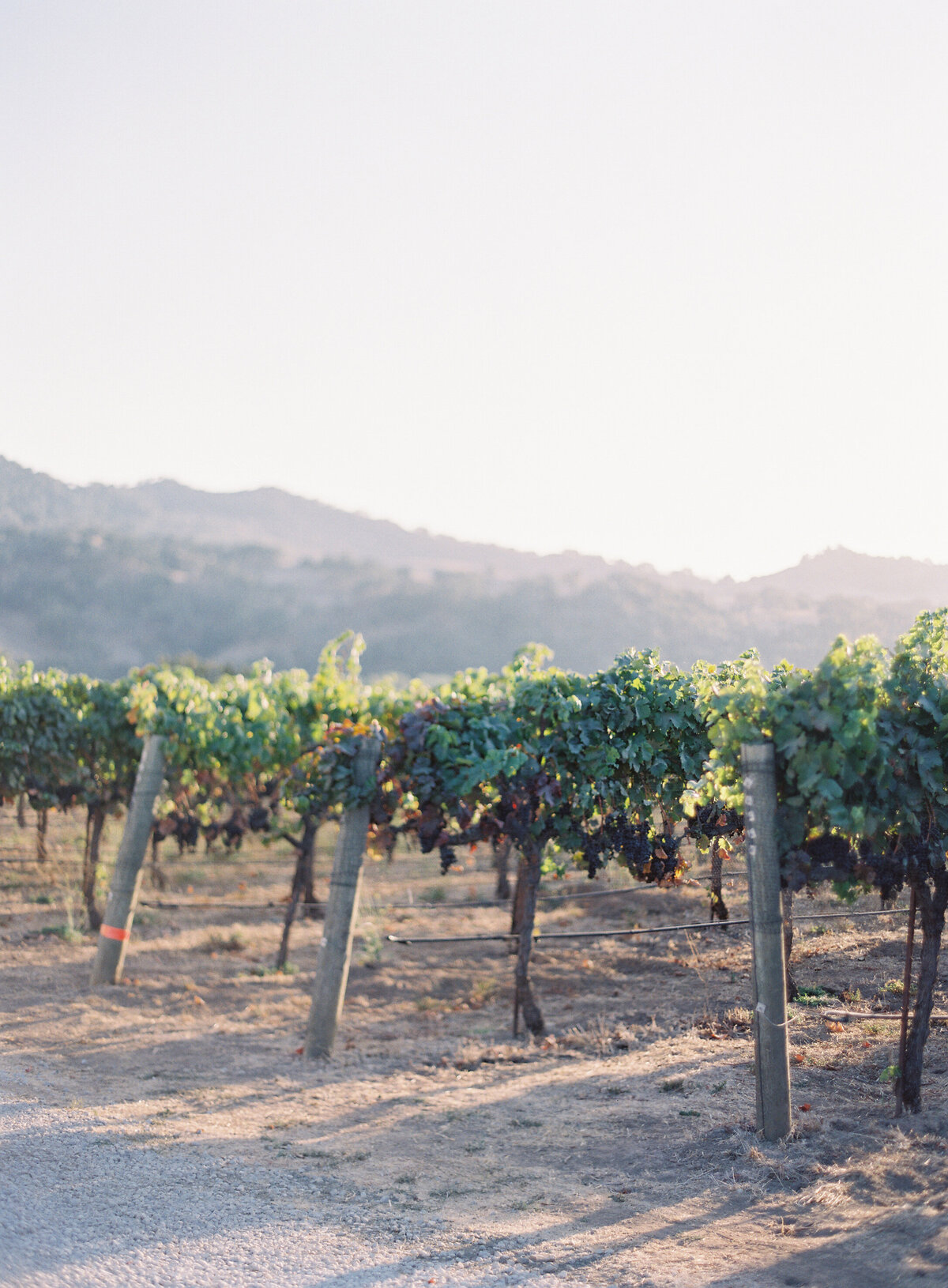 HeatherPaynePhoto_AmandaMarieSunstone_027