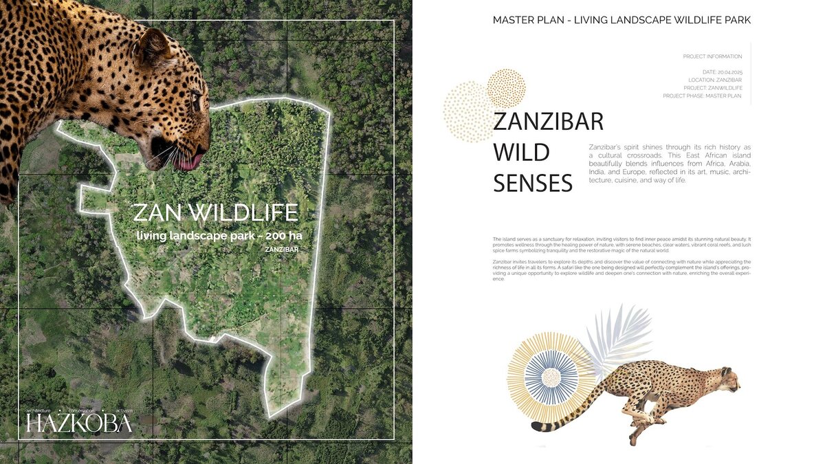 zanzi do portfolio-01