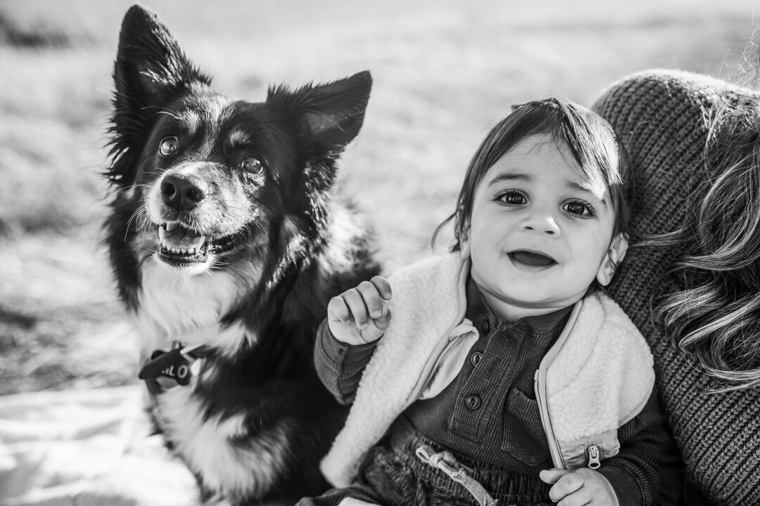 San Francisco Family Photographer Alyx Jones217