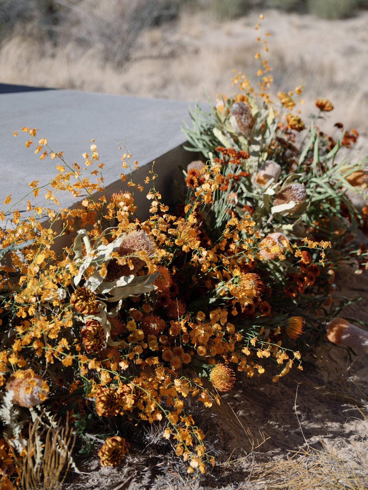 Amangiri Wedding Wild Heart Events-15
