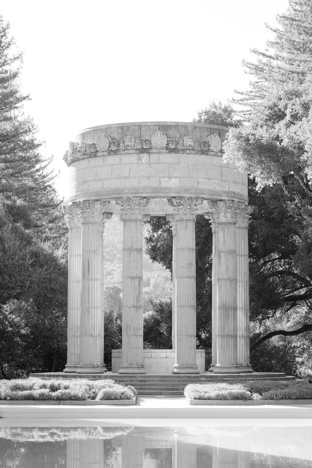 PERRUCCIPHOTO_DAVIS_2
