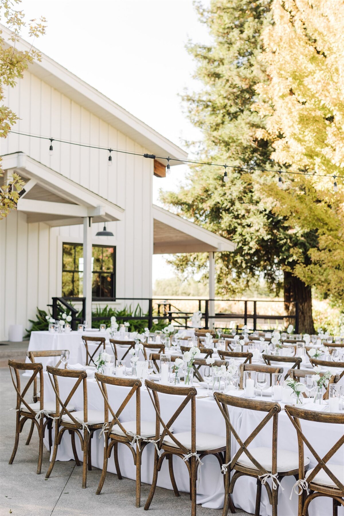 Park-Winters-wedding-Clay-Shauna-previews-ashley-carlascio-photography-0059