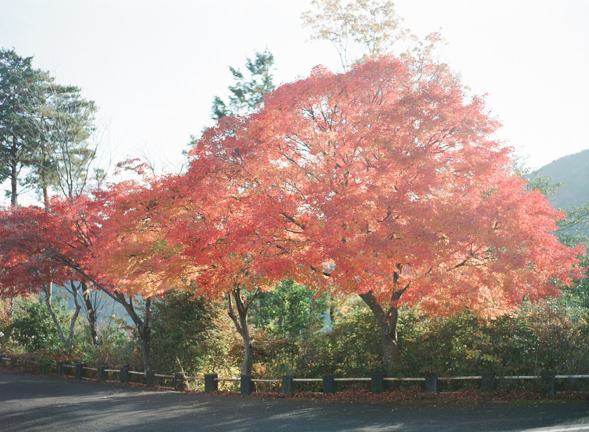 kyoto-prewedding-raymond-vivien-13