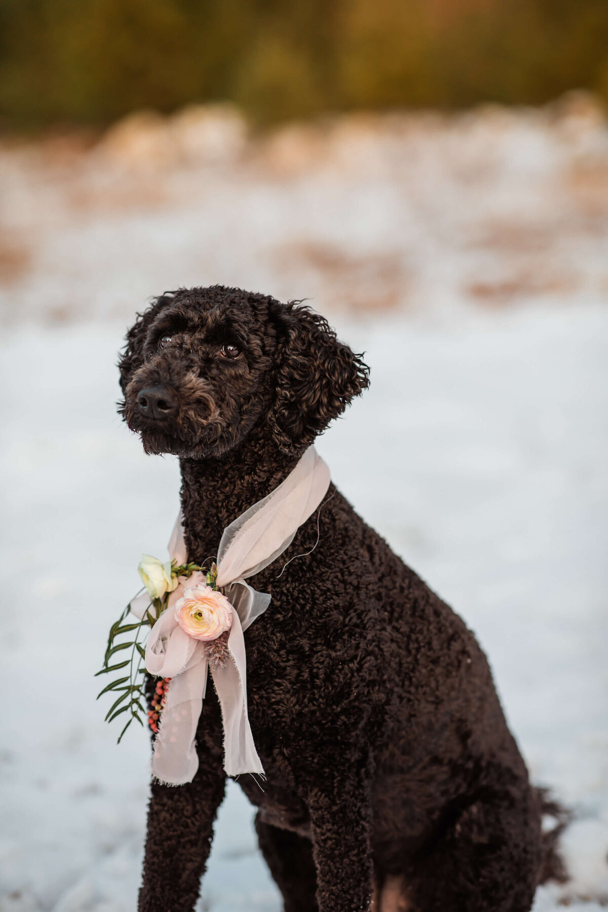 New_Hampshire_Wedding_Photographer-209