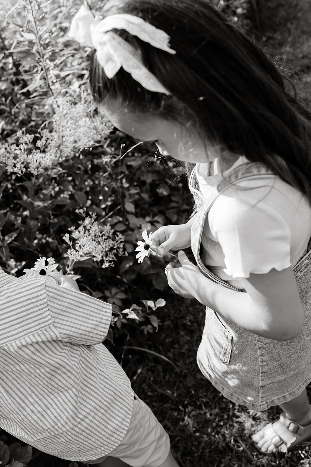 haillekernphoto-fin-9155-2_websize