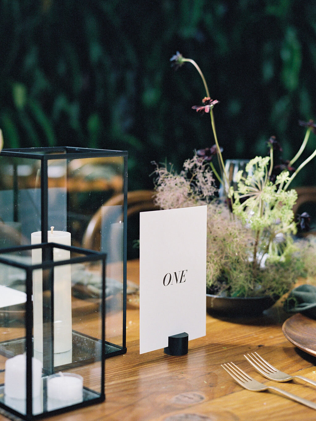 LynnDunston_Anna&Michael-516