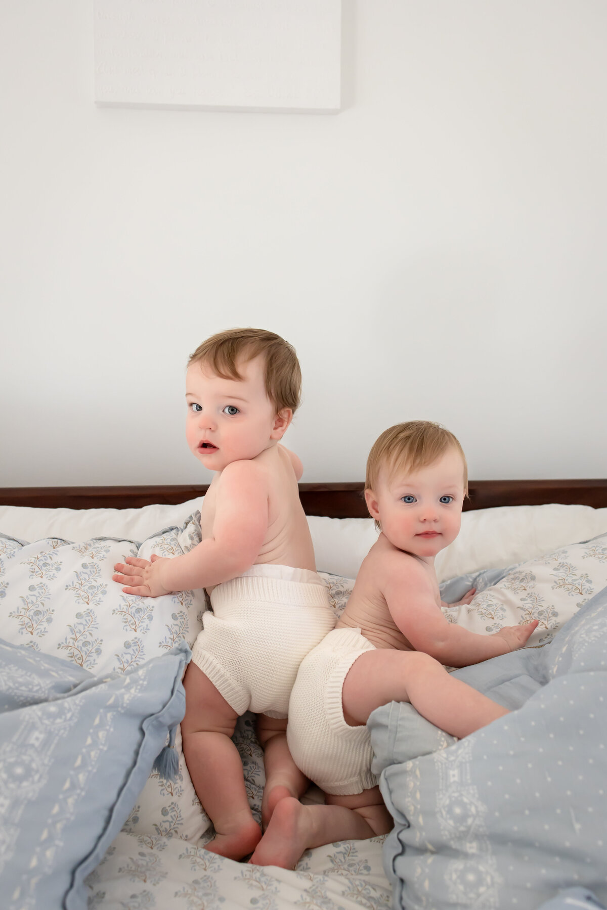 twin babies climb on a blue floral bed as they wear diapers and look back at the camera amidst pillows