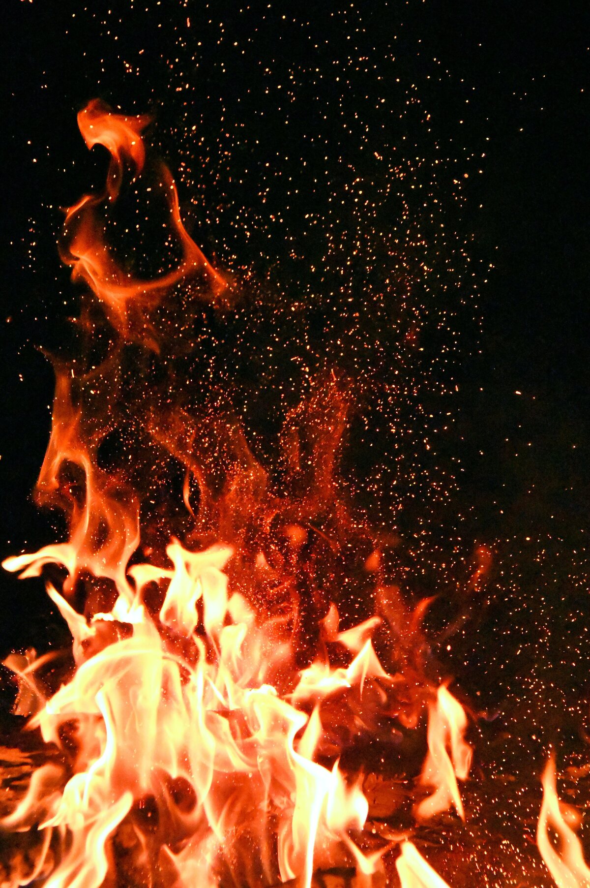 pexels-adonyi-gábor-1558916