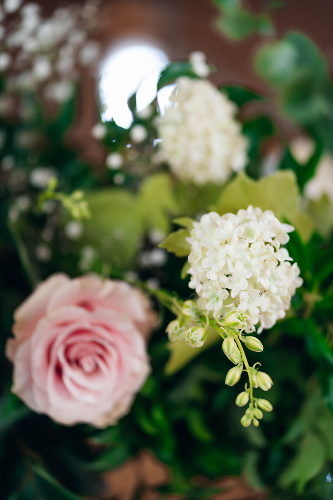 EmilyCollettPhotography0034